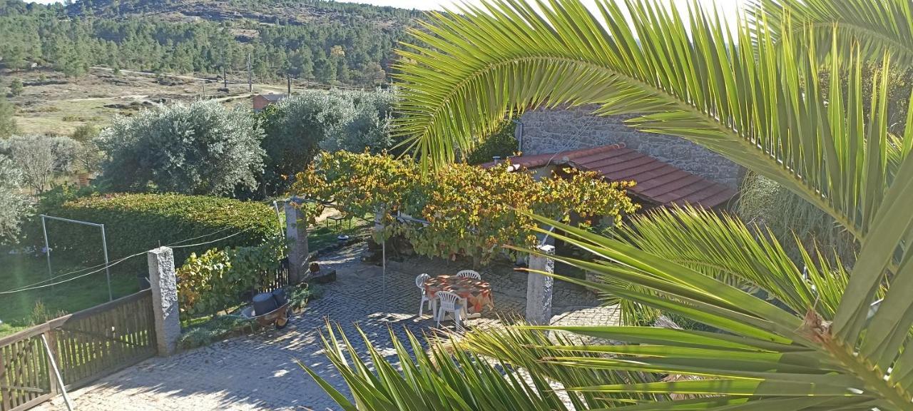 Quinta Do Mineiro-Serra Da Estrela Matanca 外观 照片