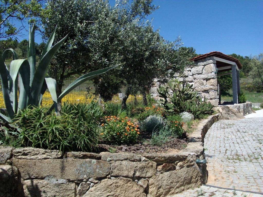 Quinta Do Mineiro-Serra Da Estrela Matanca 客房 照片