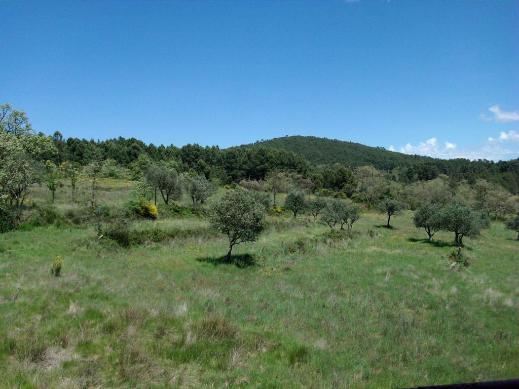 Quinta Do Mineiro-Serra Da Estrela Matanca 客房 照片